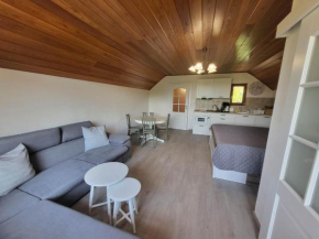 Apartmán Pure Harmony, Velké Bílovice
